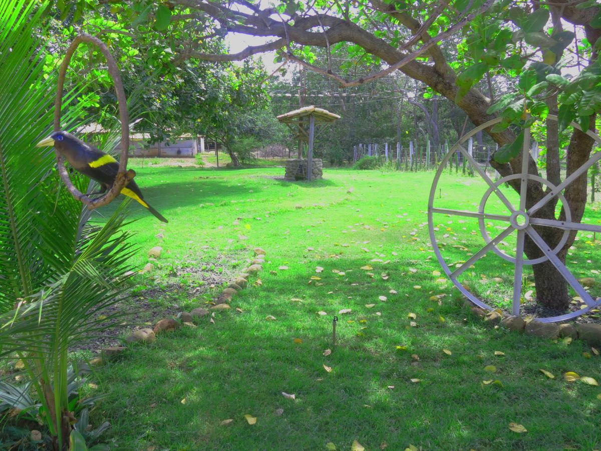 Oca Tocarijus Eco Resort 2*